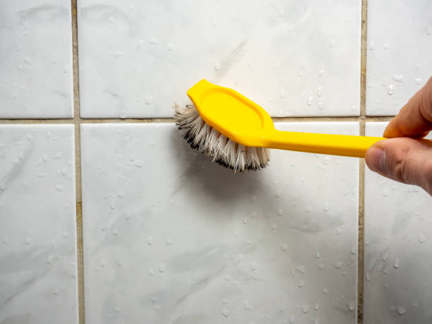 Best DIY Mold Remediation Support Services in Web, AL