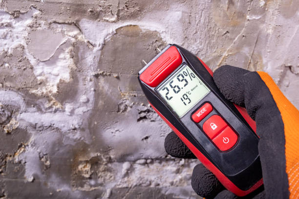 Best Commercial Mold Remediation in Web, AL