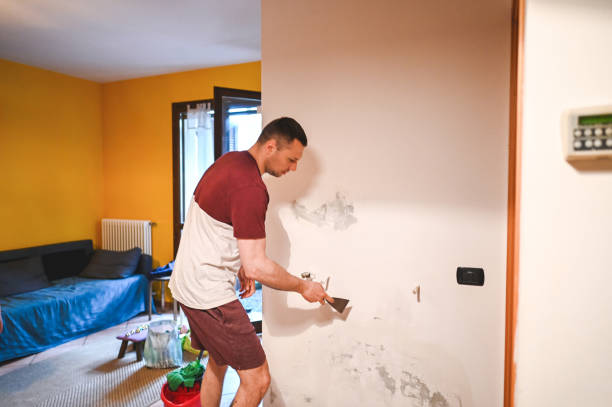 Best Preventive Mold Services in Web, AL